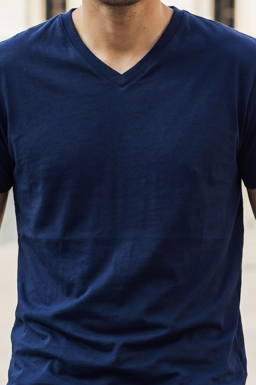 Navy Plain V-Neck Regular Fit T-shirt