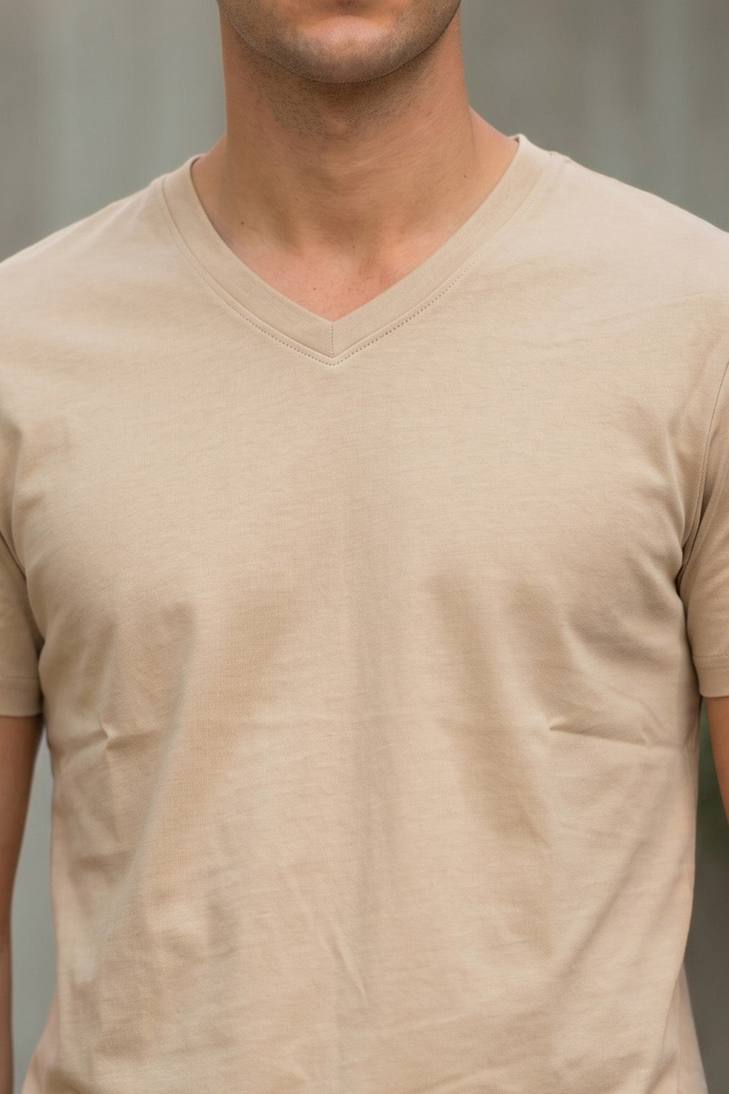 Swanwhite Plain V-Neck Regular Fit T-shirt