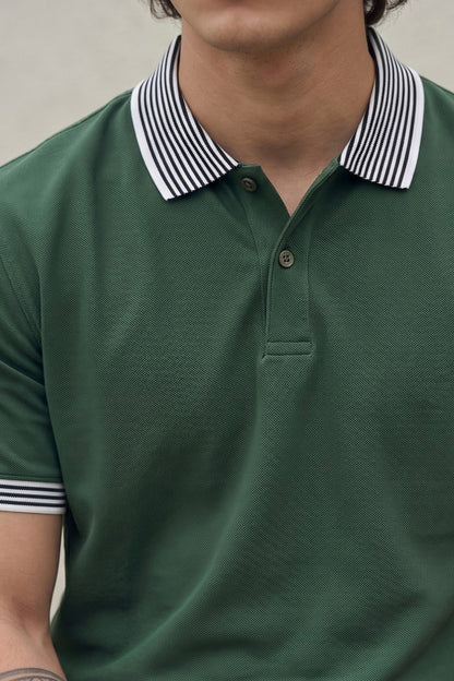Olive Stripped Collar Regular Fit Exclusive Pique Lycra Polo T-Shirt
